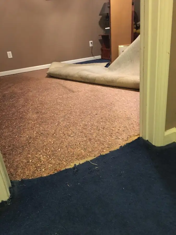 Carpet pad removal revealing water damage during Water Mitigation Services in New Burlington